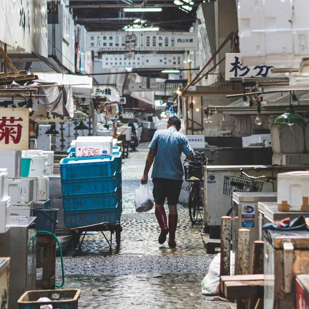 Read more about the article Exploring Tokyo’s Fish Markets