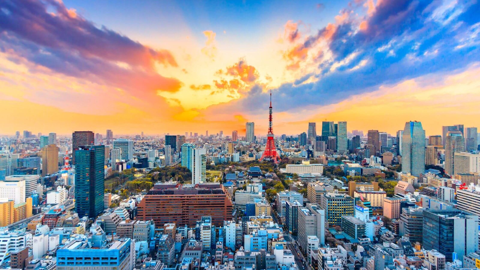 The Best Of Tokyo By Car Guided Tour